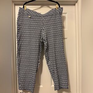 Ingredients Blue and White Patterned Pants